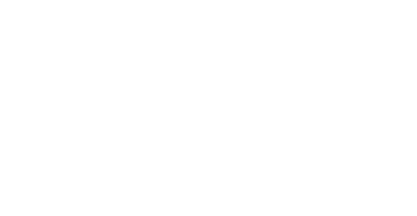 section1